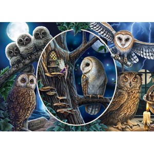 Schmidt Spiele (59667) - Lisa Parker: "Mysterious Owls" - 1000 pieces puzzle