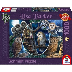 Schmidt Spiele (59667) - Lisa Parker: "Mysterious Owls" - 1000 pieces puzzle
