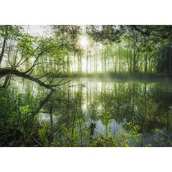 Schmidt Spiele (59670) - Stefan Hefele: "Homeland Jungle" - 1000 pieces puzzle