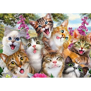 Schmidt Spiele (58391) - "Cat Selfie" - 500 pieces puzzle