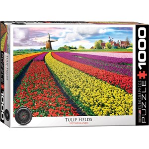 Eurographics (6000-5326) - "Tulip Field, Netherlands" - 1000 pieces puzzle