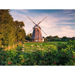 Ravensburger (16223) - "Windmill" - 1500 pieces puzzle