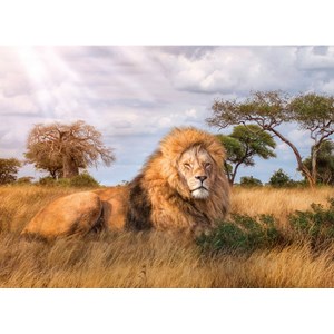 Clementoni (39479) - "The King" - 1000 pieces puzzle
