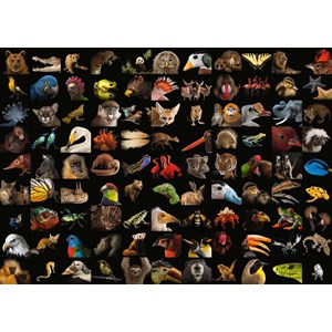 Ravensburger (15983) - "99 Stunning Animals" - 1000 pieces puzzle