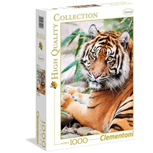 Puzzle 1000 pièces : Tigre oriental