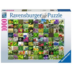 Ravensburger (15991) - "99 Herbs and Spices" - 1000 pieces puzzle