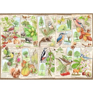 Ravensburger (16421) - "Wondrous Trees" - 1000 pieces puzzle