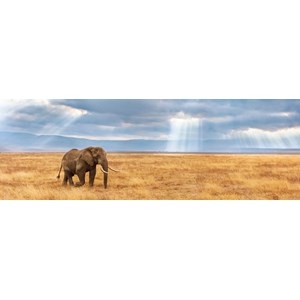 Clementoni (39484) - "Lost" - 1000 pieces puzzle