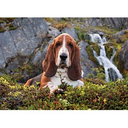 Clementoni (39511) - "Charlie Brown" - 1000 pieces puzzle