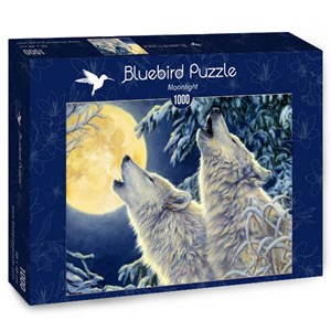 Bluebird Puzzle (70071) - "Moonlight" - 1000 pieces puzzle