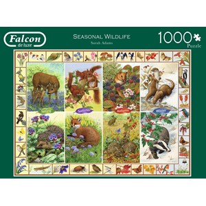 Falcon (11200) - Sarah Adams: "Seasonal Wildlife" - 1000 pieces puzzle
