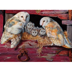 Cobble Hill (80052) - "Barn Owls" - 1000 pieces puzzle