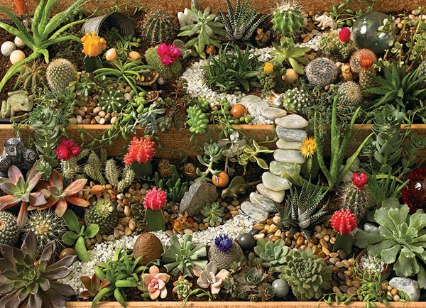 Cobble Hill (80157) - "Succulent Garden" - 1000 pieces puzzle