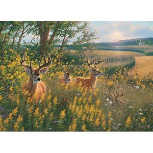 Cobble Hill (80092) - "Summer Deer" - 1000 pieces puzzle