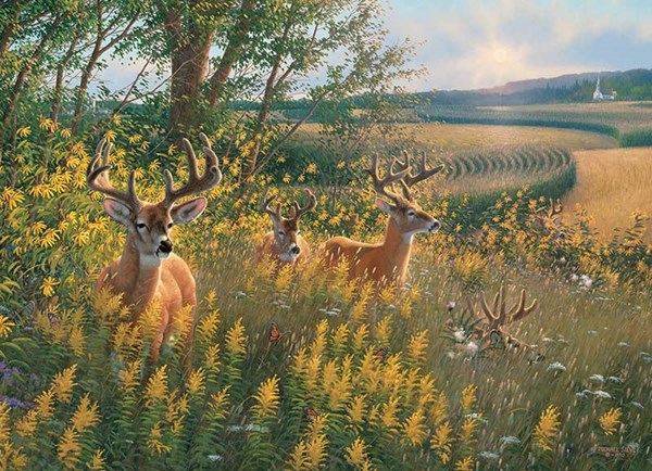Cobble Hill (80092) - "Summer Deer" - 1000 pieces puzzle