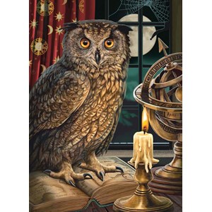 Cobble Hill (80198) - "The Astrologer" - 1000 pieces puzzle