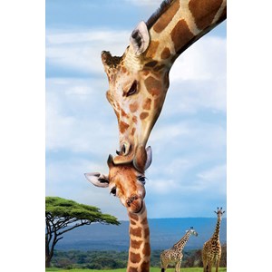 Eurographics (8251-0294) - "Giraffes" - 250 pieces puzzle