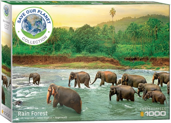 Eurographics (6000-5540) - "Rainforest" - 1000 pieces puzzle