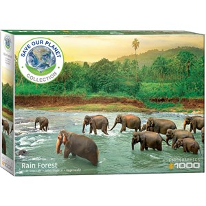 Eurographics (6000-5540) - "Rainforest" - 1000 pieces puzzle