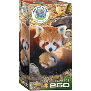 Eurographics (8251-5557) - "Red Pandas" - 250 pieces puzzle
