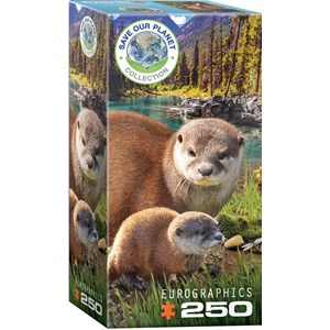 Eurographics (8251-5558) - "Otters" - 250 pieces puzzle