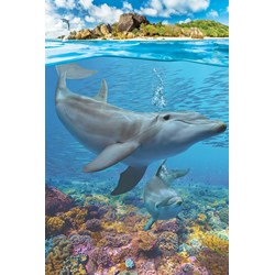 Eurographics (8251-5560) - "Dolphins" - 250 pieces puzzle