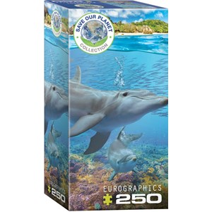 Eurographics (8251-5560) - "Dolphins" - 250 pieces puzzle