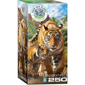 Eurographics (8251-5559) - "Tigers" - 250 pieces puzzle