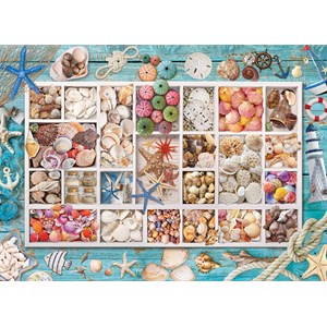 Eurographics (6000-5529) - "Seashell Collection" - 1000 pieces puzzle