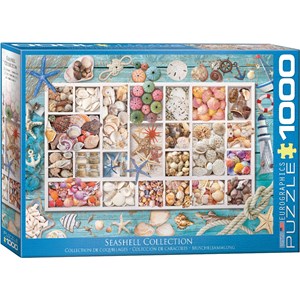 Eurographics (6000-5529) - "Seashell Collection" - 1000 pieces puzzle