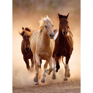 Clementoni (39168) - "Running Horses" - 1000 pieces puzzle
