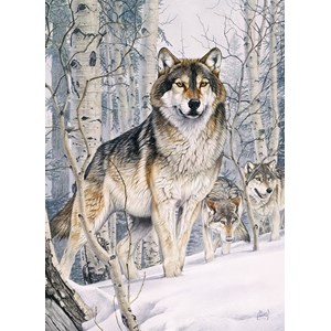 Cobble Hill (80019) - Al Agnew: "Second Glance" - 1000 pieces puzzle