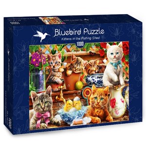 Bluebird Puzzle (70241) - Adrian Chesterman: "Kittens in the Potting Shed" - 1000 pieces puzzle