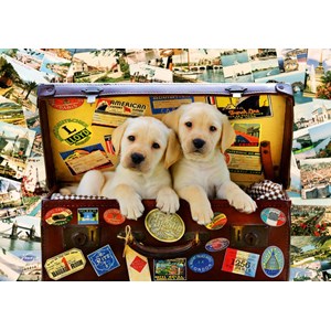 Bluebird Puzzle (70237) - "Two Travel Puppies" - 1000 pieces puzzle