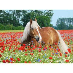 Ravensburger (14831) - "Horse in the Poppy Field" - 500 pieces puzzle
