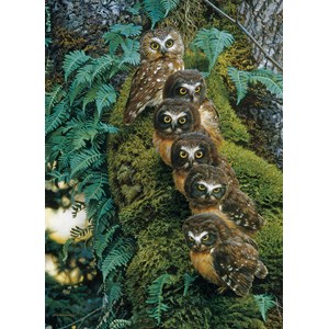 Cobble Hill (80018) - "Family Tree" - 1000 pieces puzzle