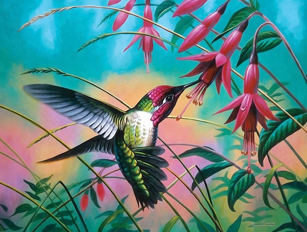 SunsOut (70941) - Cynthie Fisher: "Hummingbird Haven" - 500 pieces puzzle