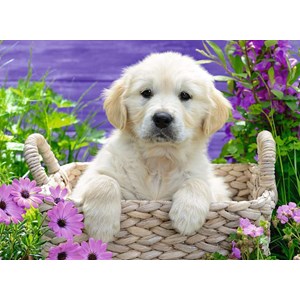 Ravensburger (14829) - "Sweet Golden Retreiver" - 500 pieces puzzle
