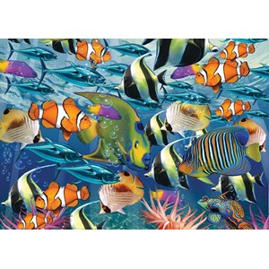 Art Puzzle (4270) - "Multi Fish" - 260 pieces puzzle