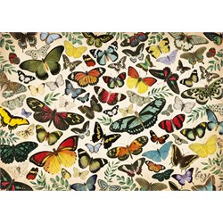 Falcon (18842) - "Butterfly Poster" - 1000 pieces puzzle