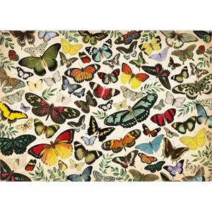 Falcon (18842) - "Butterfly Poster" - 1000 pieces puzzle