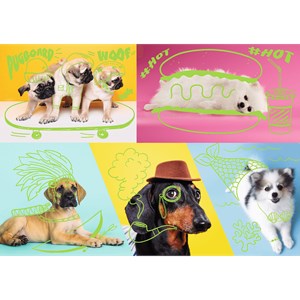 Trefl (10578) - "Far out dogs" - 1000 pieces puzzle
