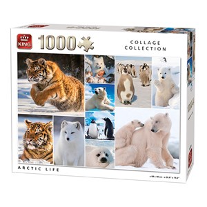 King International (55870) - "Arctic Life" - 1000 pieces puzzle