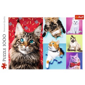 Trefl (10591) - "Happy cats" - 1000 pieces puzzle