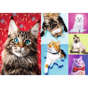 Trefl (10591) - "Happy cats" - 1000 pieces puzzle