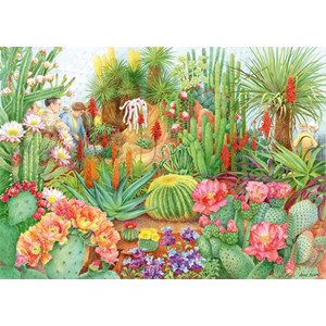 Falcon (11254) - Anne Searle: "The Flower Show, Desert Plants" - 1000 pieces puzzle