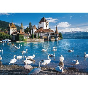Schmidt Spiele (58367) - "Swans Shore" - 1000 pieces puzzle