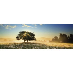 Heye (29901) - "Play of Light" - 1000 pieces puzzle