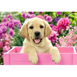 Ravensburger (05029) - "Me and My Pal" - 24 pieces puzzle