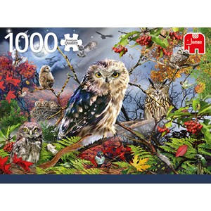 Jumbo (18859) - "Owls in the Moonlight" - 1000 pieces puzzle